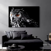 Black & White owl Canvas