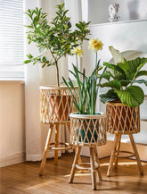 Bamboo Plants Basket Stand