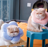 Cat Neck Pillow