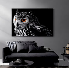 Black & White owl Canvas