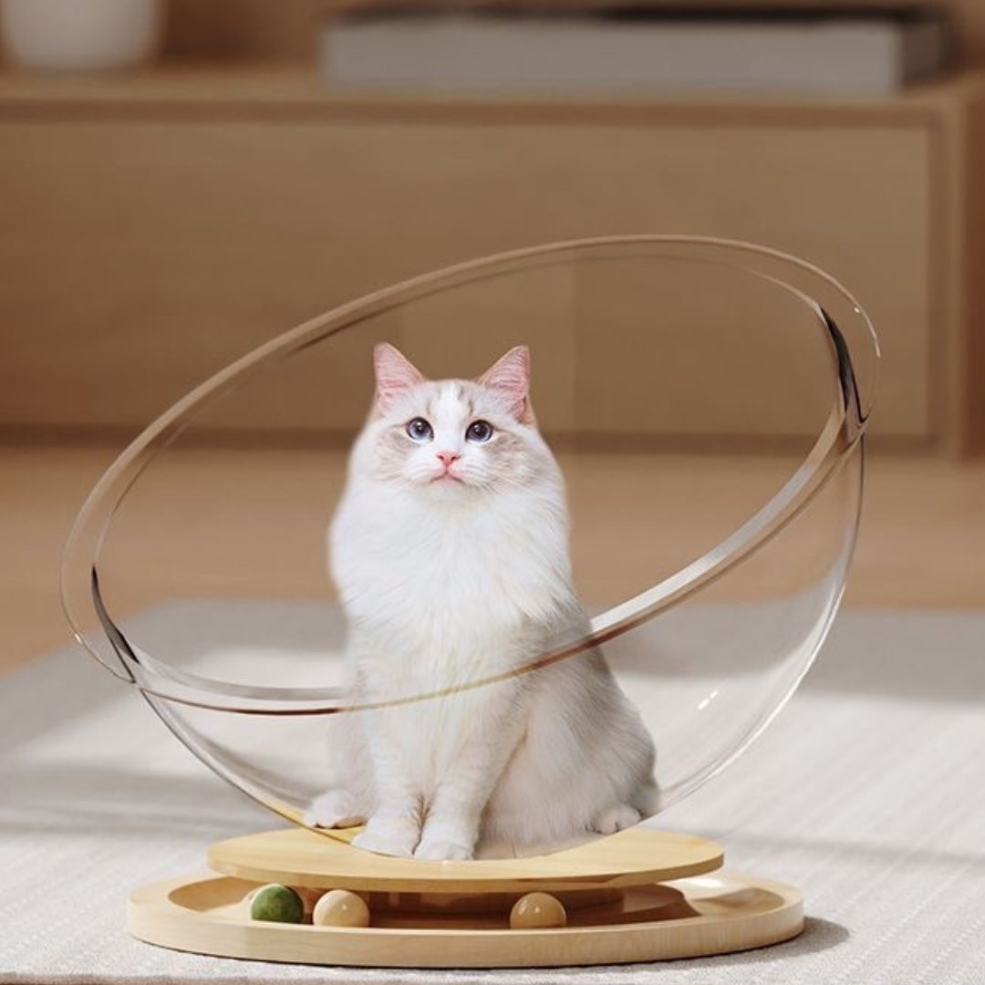 Space Capsule Cat Bed