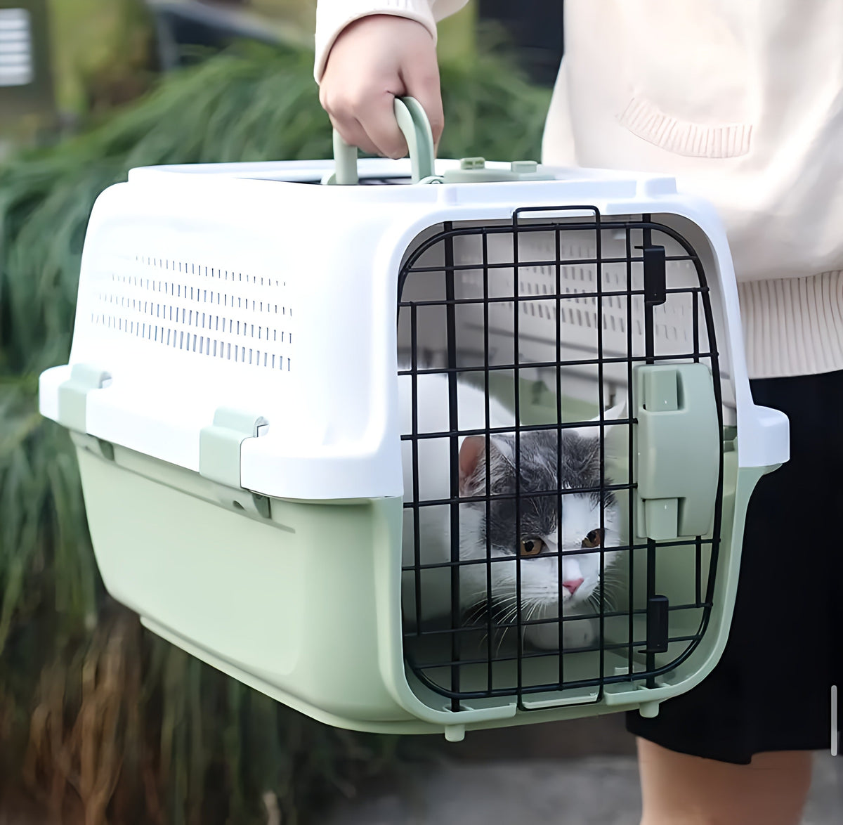 Pets Travel Carrier
