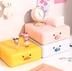 Accessories Organizer