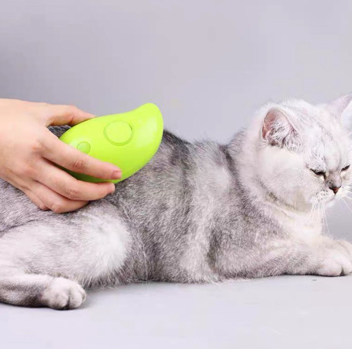 Pet Spray Comb