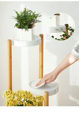 Bamboo Plants Stand
