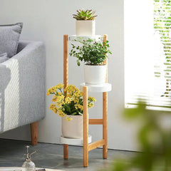 Bamboo Plants Stand