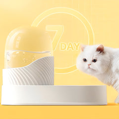 Food & Water Dispenser