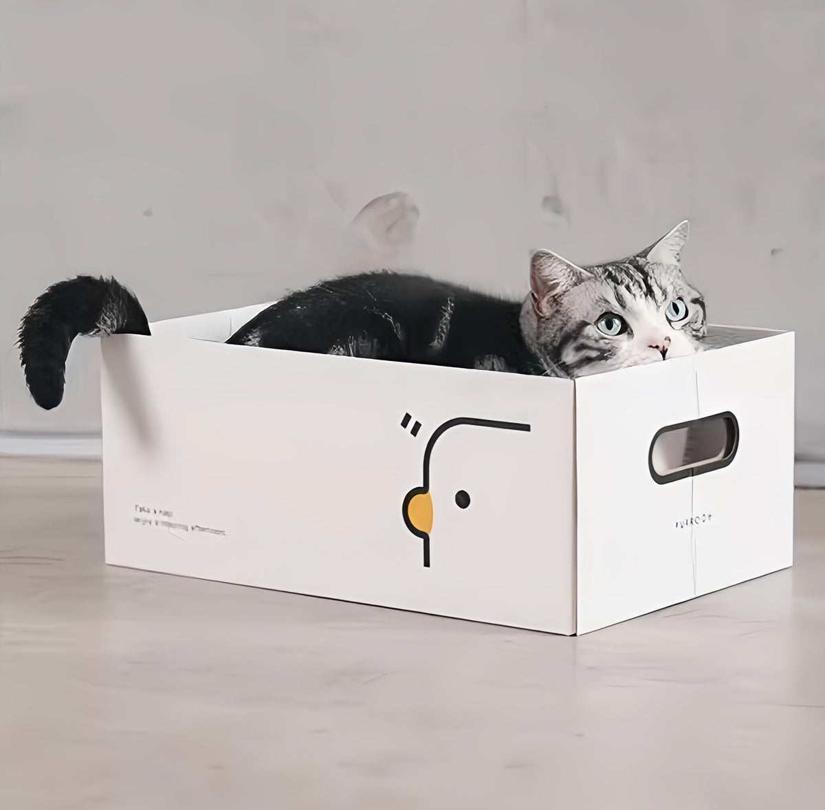 Scratching Board with Box