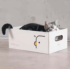 Scratching Board with Box