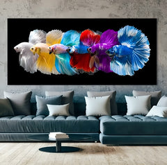 Colorful Fish Canvas