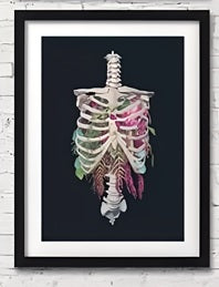 Anatomy Art Canvas Painting